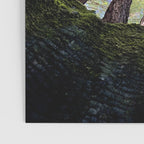 Telescope of Time (benefitting The Nature Conservancy)  Poster Gallery Image 3