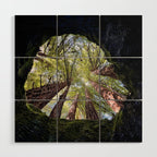 Telescope of Time (benefitting The Nature Conservancy)  Wood Wall Art Gallery Image 1