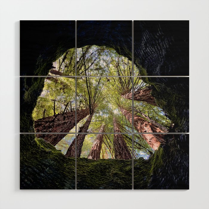 Telescope of Time (benefitting The Nature Conservancy)  Wood Wall Art Gallery Image 1