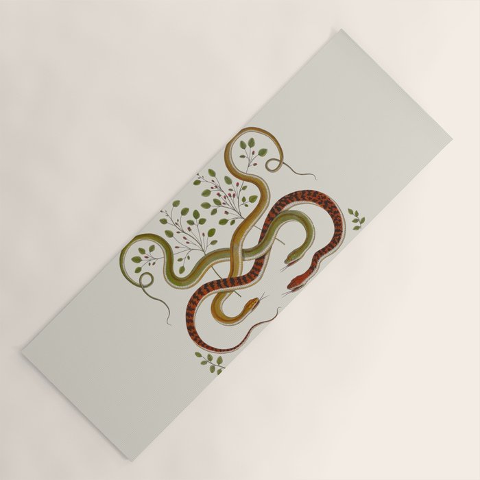 Snakes by Albertus Seba Yoga Mat Gallery Image 1