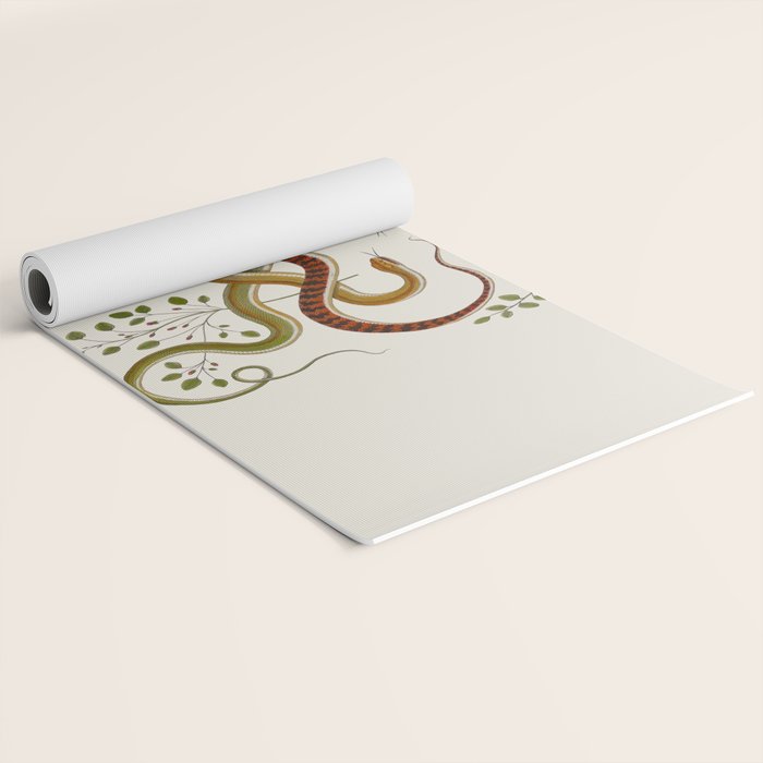 Snakes by Albertus Seba Yoga Mat Gallery Image 2