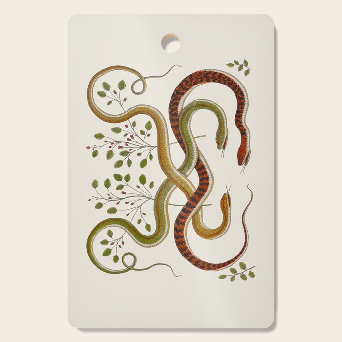 Snakes by Albertus Seba Cutting Board Gallery Image 1