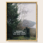 Olympic National Park Hoh Rain Forest Sign Serving Tray Gallery Image 1