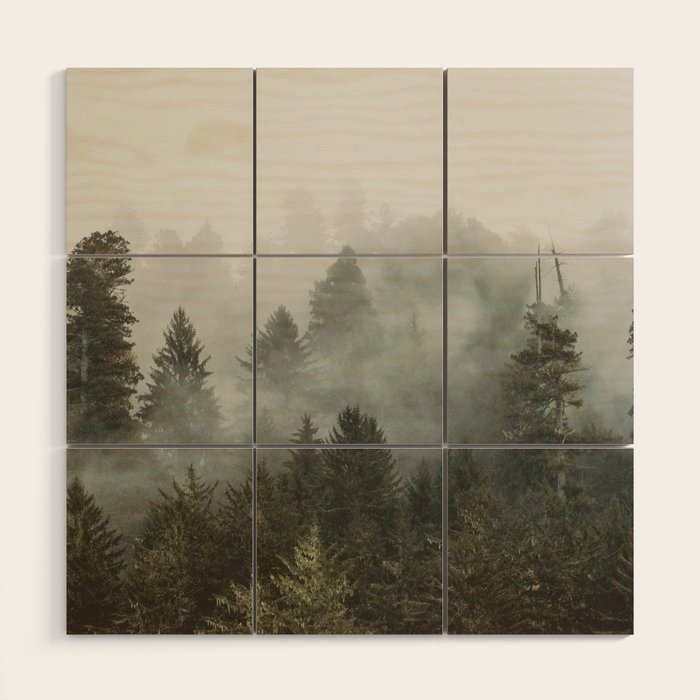 Adventure Times - Nature Photography Wood Wall Art Gallery Image 1