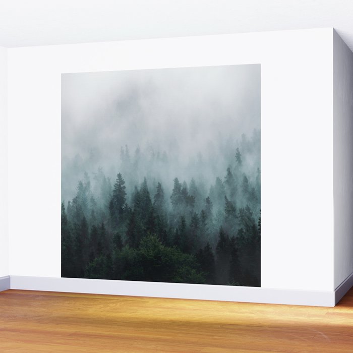 Take Me Somewhere Misty Wall Mural Gallery Image 2