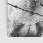 Horses Black and White Poster Gallery Image 3