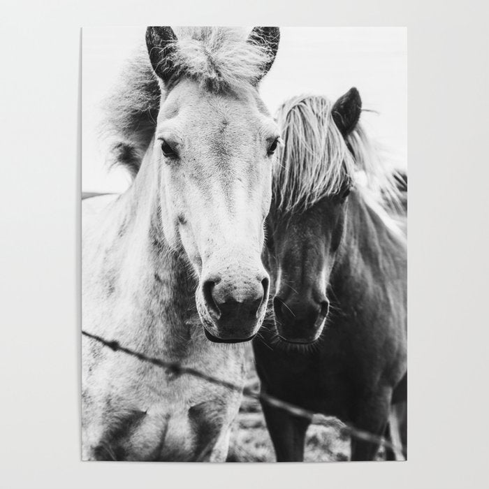 Horses Black and White Poster Gallery Image 4