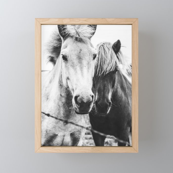 Horses Black and White Mini Art Print Gallery Image 1