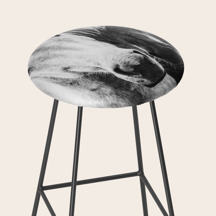 Horses Black and White Stool Gallery Image 2