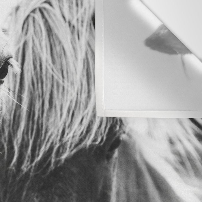 Horses Black and White Wall Tapestry Gallery Image 3