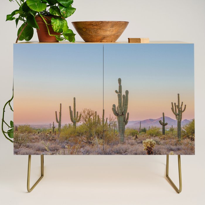 Desert / Scottsdale, Arizona Credenza Gallery Image 1