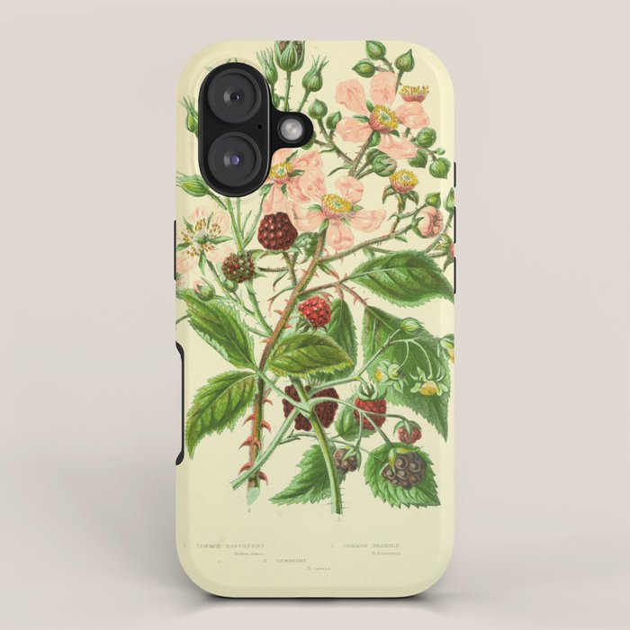 Blackberry and raspberry by Anne Pratt, 1800s (benefitting The Nature Conservancy) iPhone Case Gallery Image 1