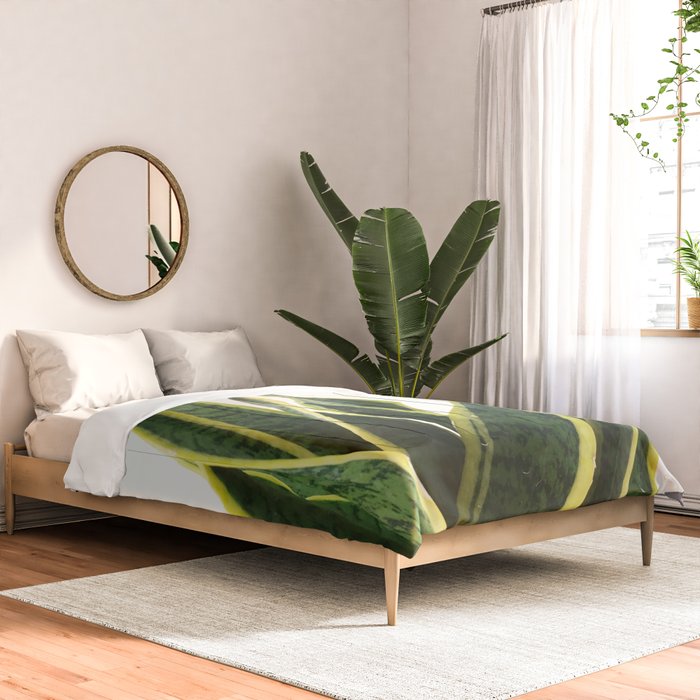 Sansevieria Comforter Gallery Image 2