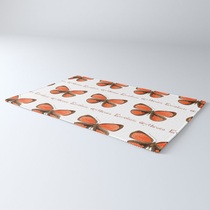 Butterfly - Euselasia erythraea Rug Gallery Image 3