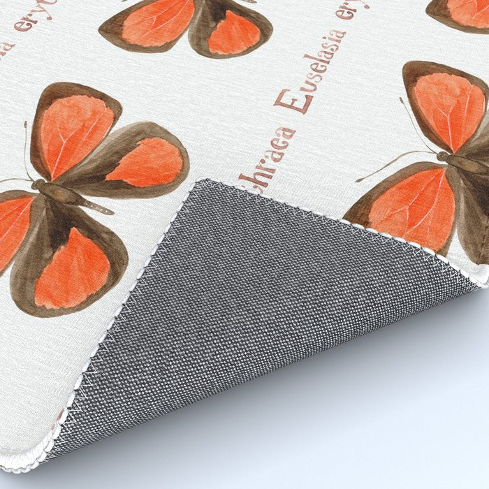 Butterfly - Euselasia erythraea Rug Gallery Image 4