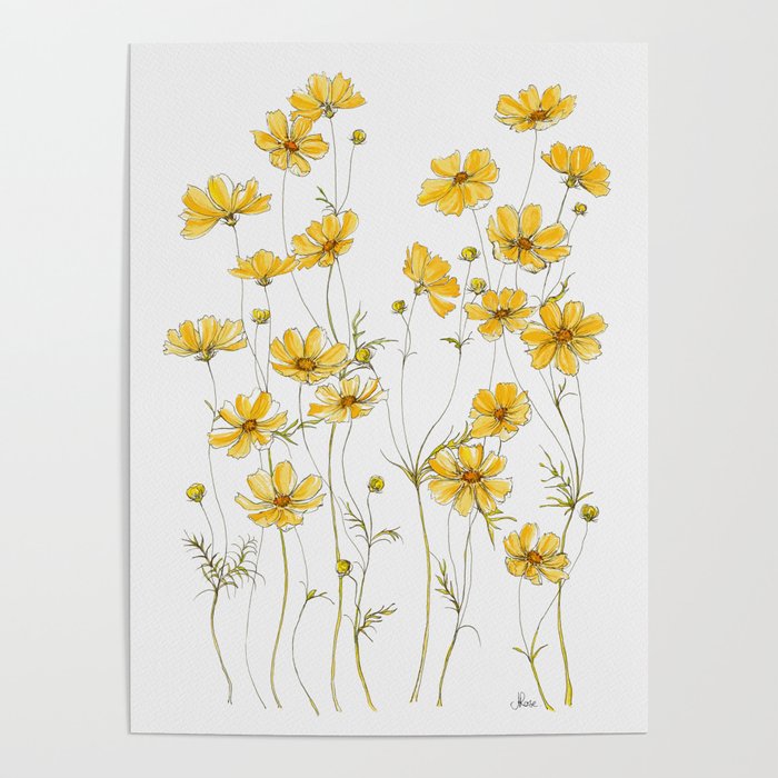 Yellow Cosmos Flowers Poster Gallery Image 1