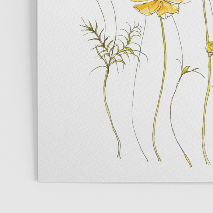 Yellow Cosmos Flowers Poster Gallery Image 3