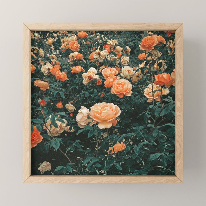 Forest of Roses Mini Art Print Gallery Image 1
