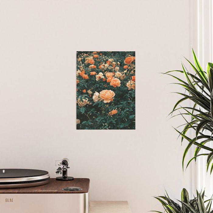 Forest of Roses Poster Gallery Image 2