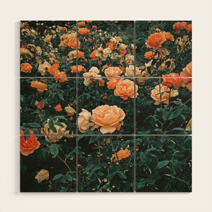 Forest of Roses Wood Wall Art Gallery Image 1