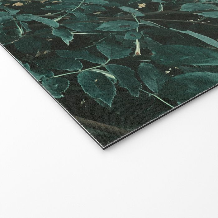 Forest of Roses Welcome Mat Gallery Image 2