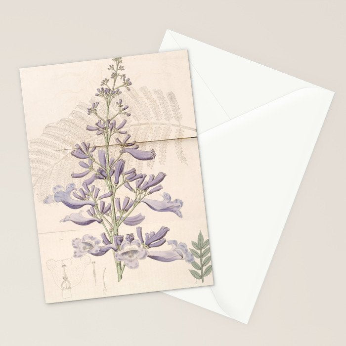 Jacaranda, 1822 Stationery Card Gallery Image 2