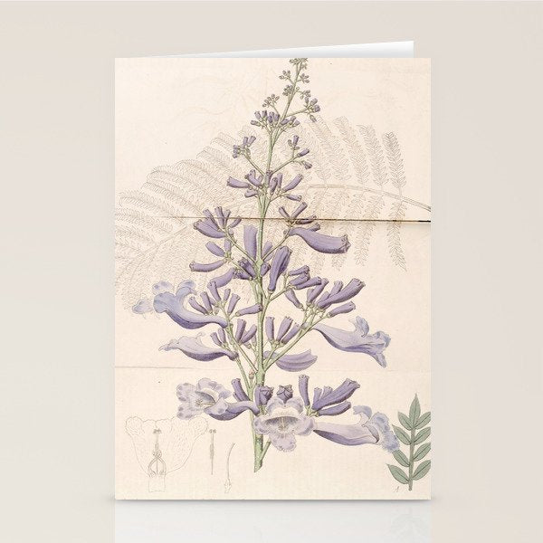 Jacaranda, 1822 Stationery Card Gallery Image 2