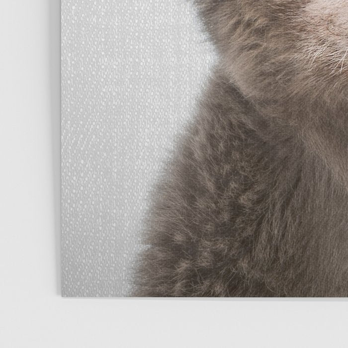 Baby Bear - Colorful Poster Gallery Image 3