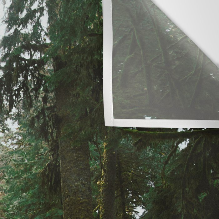 Pacific Northwest Rainforest Drive Wall Tapestry Gallery Image 3