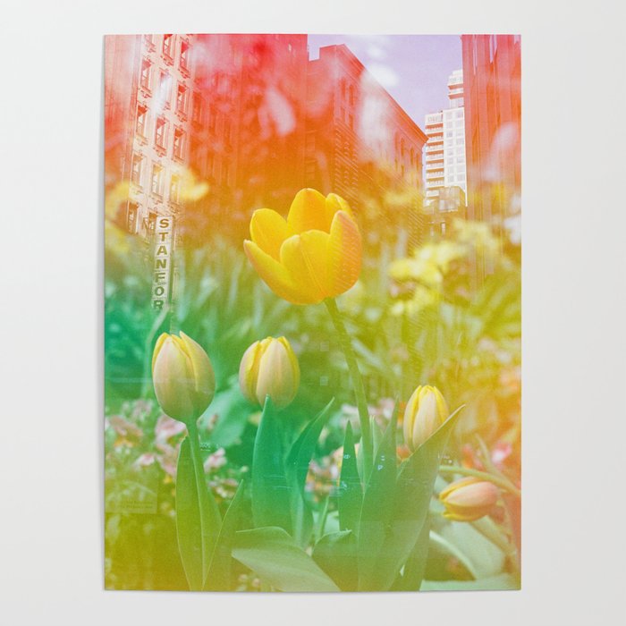 Center of the Universe  Poster Gallery Image 4
