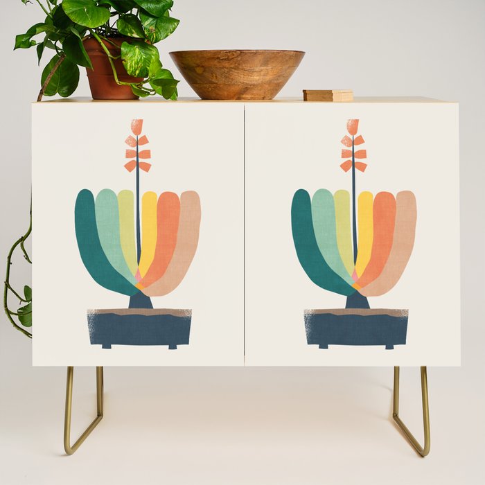 Whimsical aloe plicatilis succulent plant Credenza Gallery Image 1