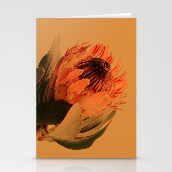 Protea - golden Stationery Card Gallery Image 2