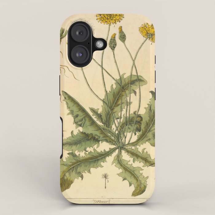 Dandelion by Elizabeth Blackwell from "A Curious Herbal," 1737 (benefiting The Nature Conservancy) iPhone Case Gallery Image 1