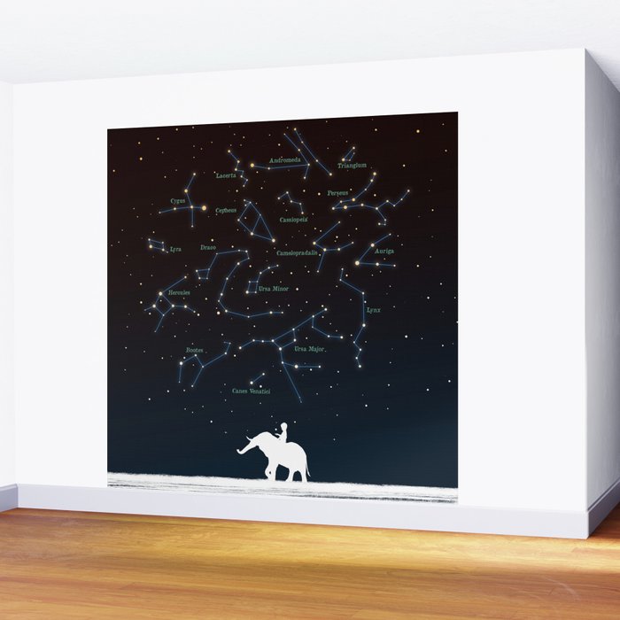 Falling star constellation Wall Mural Gallery Image 2