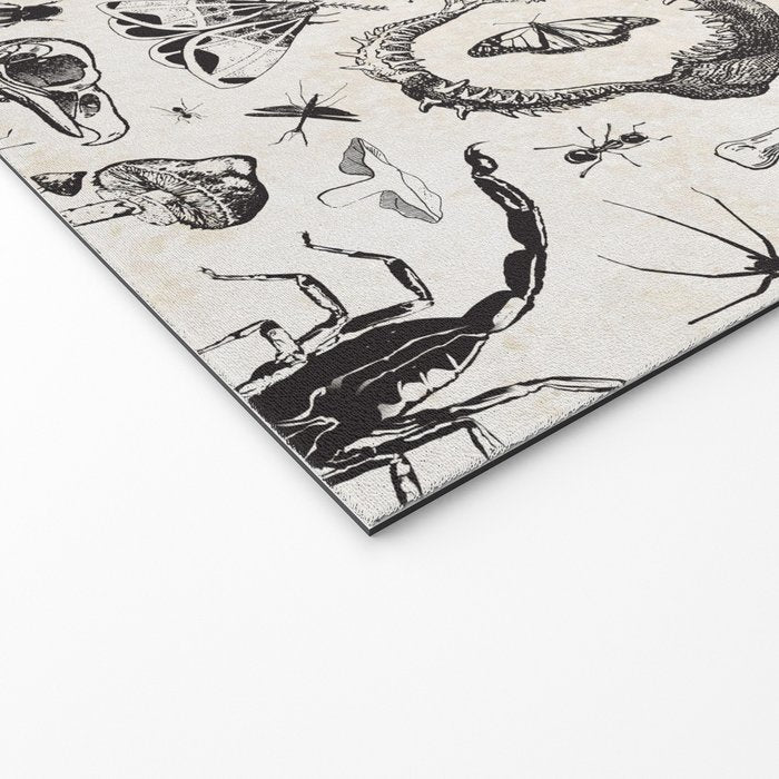 Bones, Bugs, Botanicals Welcome Mat Gallery Image 2