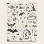 Bones, Bugs, Botanicals Notebook Gallery Image 4