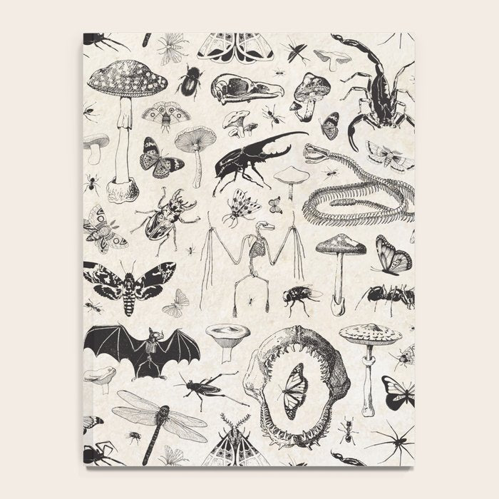 Bones, Bugs, Botanicals Notebook Gallery Image 4