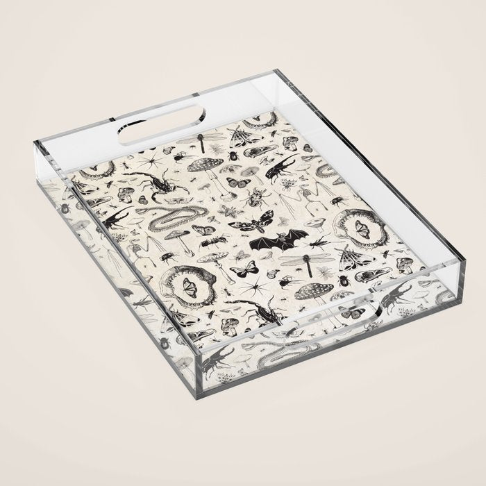 Bones, Bugs, Botanicals Acrylic Tray Gallery Image 1