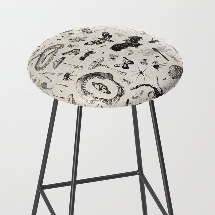 Bones, Bugs, Botanicals Stool Gallery Image 2