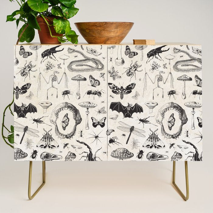 Bones, Bugs, Botanicals Credenza Gallery Image 1