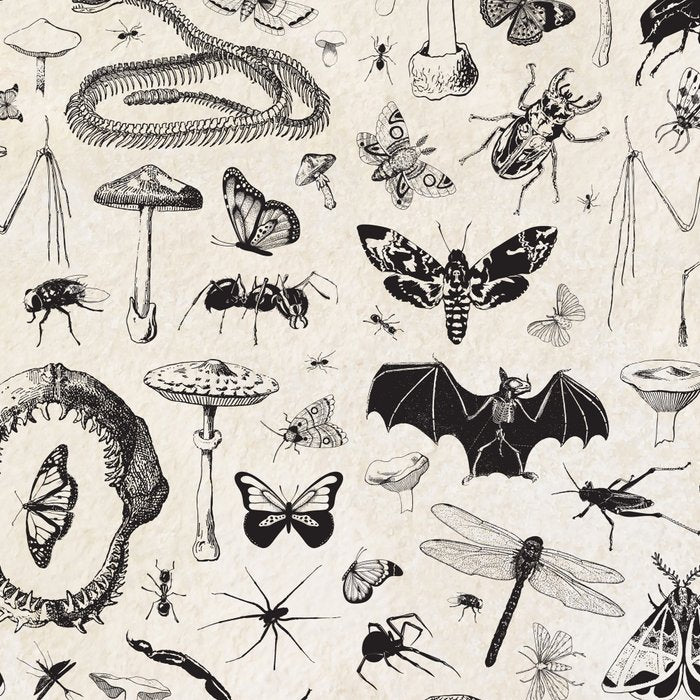 Bones, Bugs, Botanicals Coffee Mug Gallery Image 2