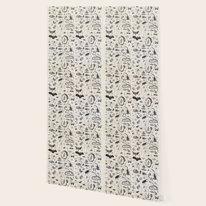 Bones, Bugs, Botanicals Wallpaper Gallery Image 2