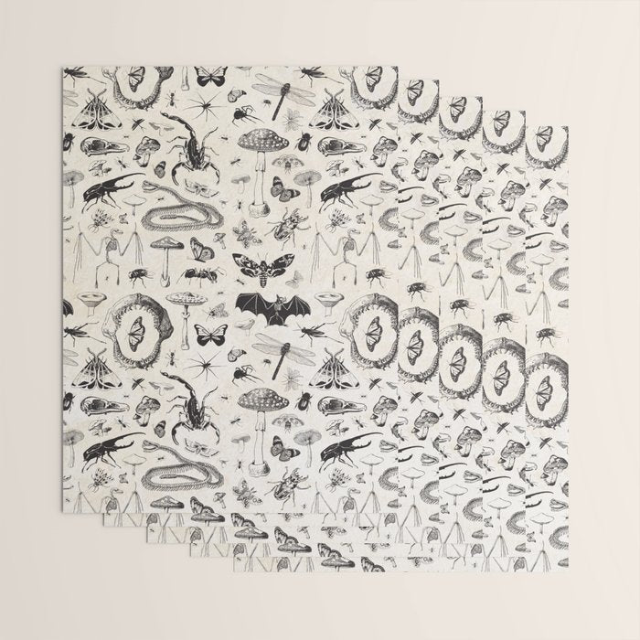 Bones, Bugs, Botanicals Wrapping Paper Gallery Image 3