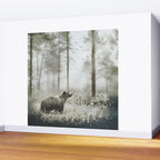 Encounter Wall Mural Gallery Image 2