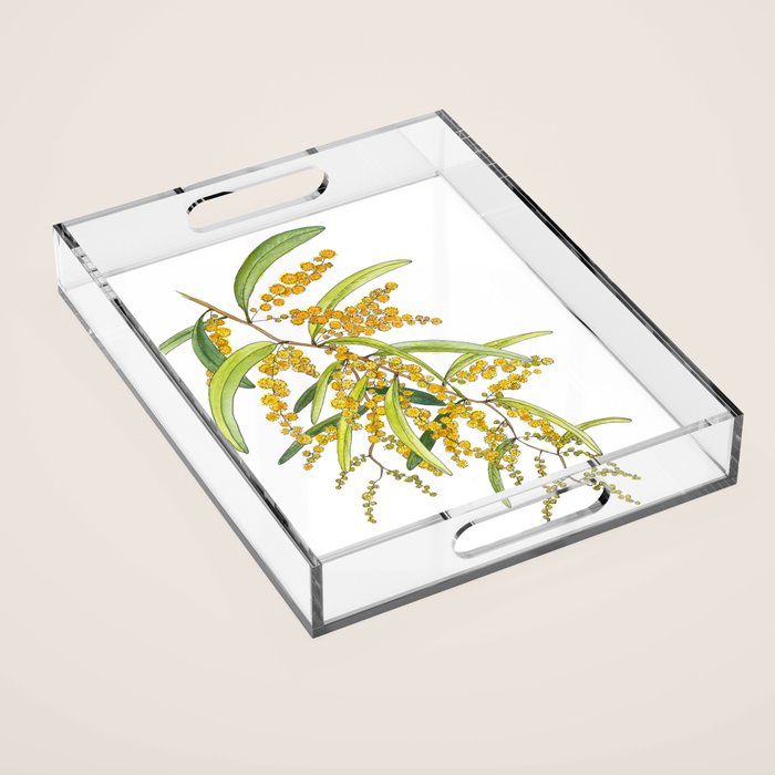 Australian Wattle Flower, Illustration Acrylic Tray Gallery Image 1