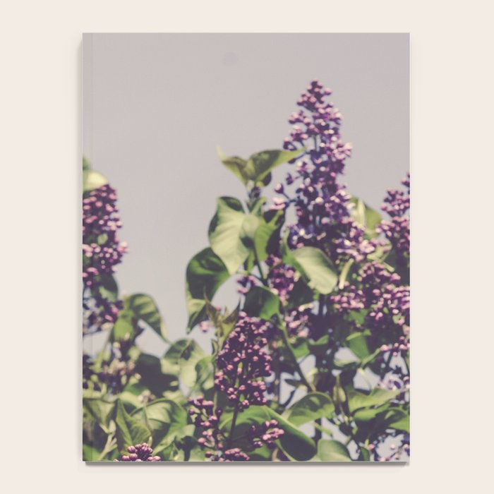 Wild Lilacs - spring floral nature photograph Notebook Gallery Image 4