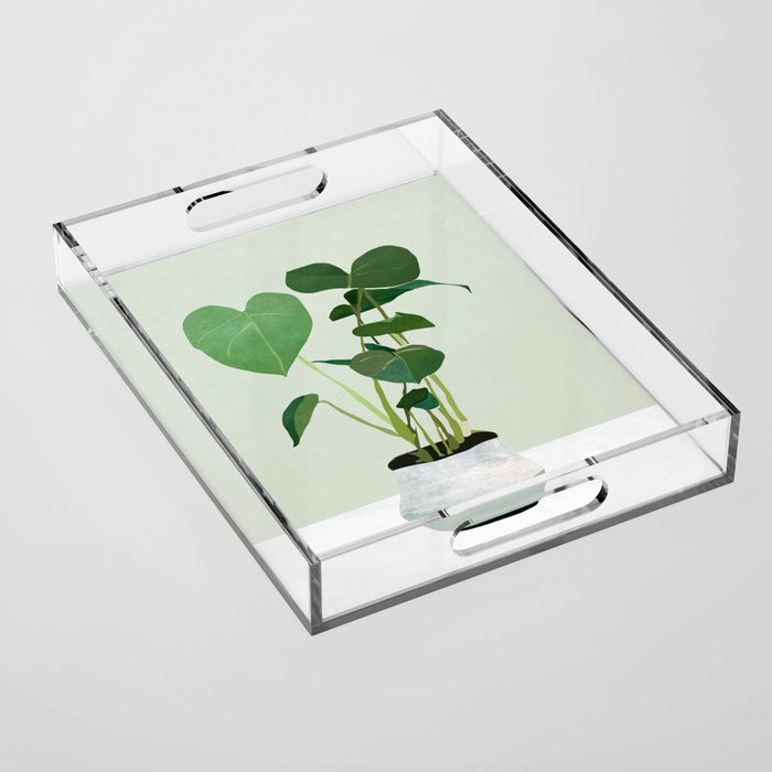 Plant 3 Acrylic Tray Gallery Image 1