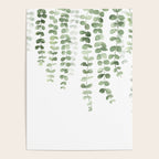 Eucalyptus Watercolor Poster Gallery Image 4