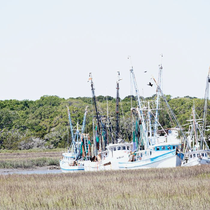 Carolina Lowcountry Shrimp Boats Photography Coffee Mug Gallery Image 2