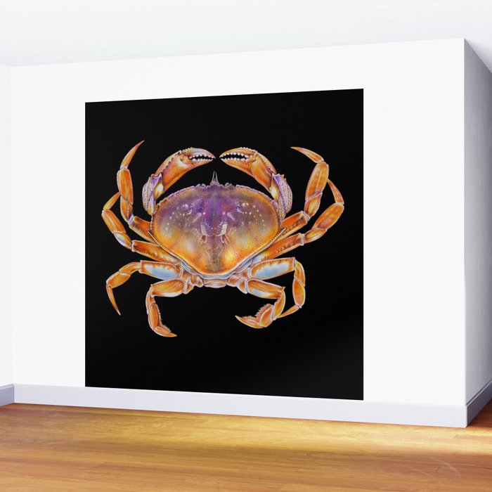 Dungeness crab Wall Mural Gallery Image 2